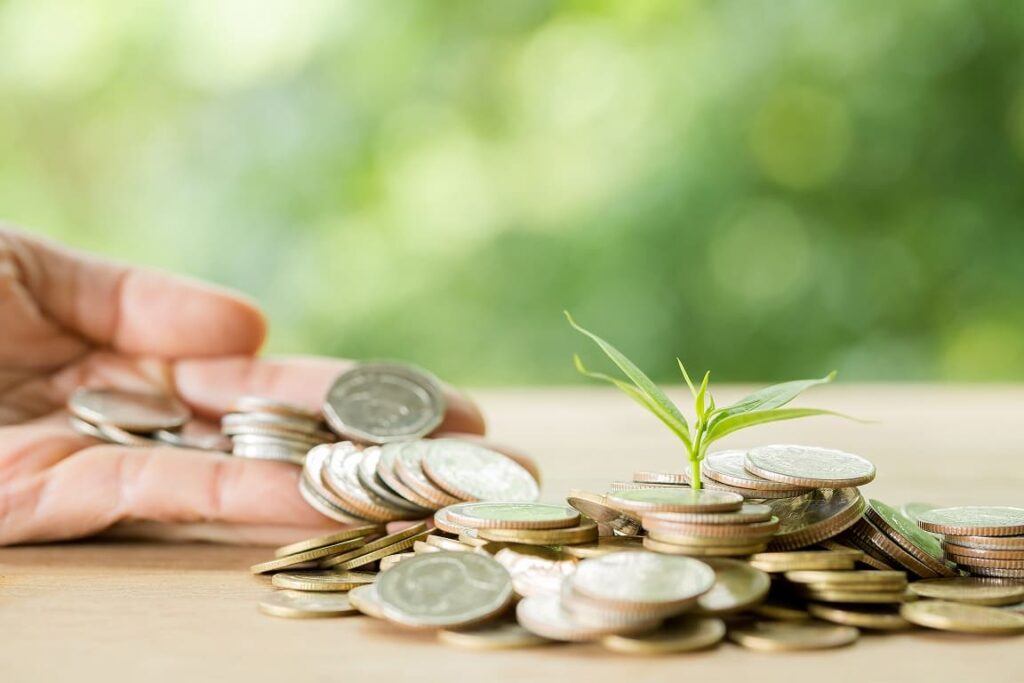 planting trees coin pile with sunlight1